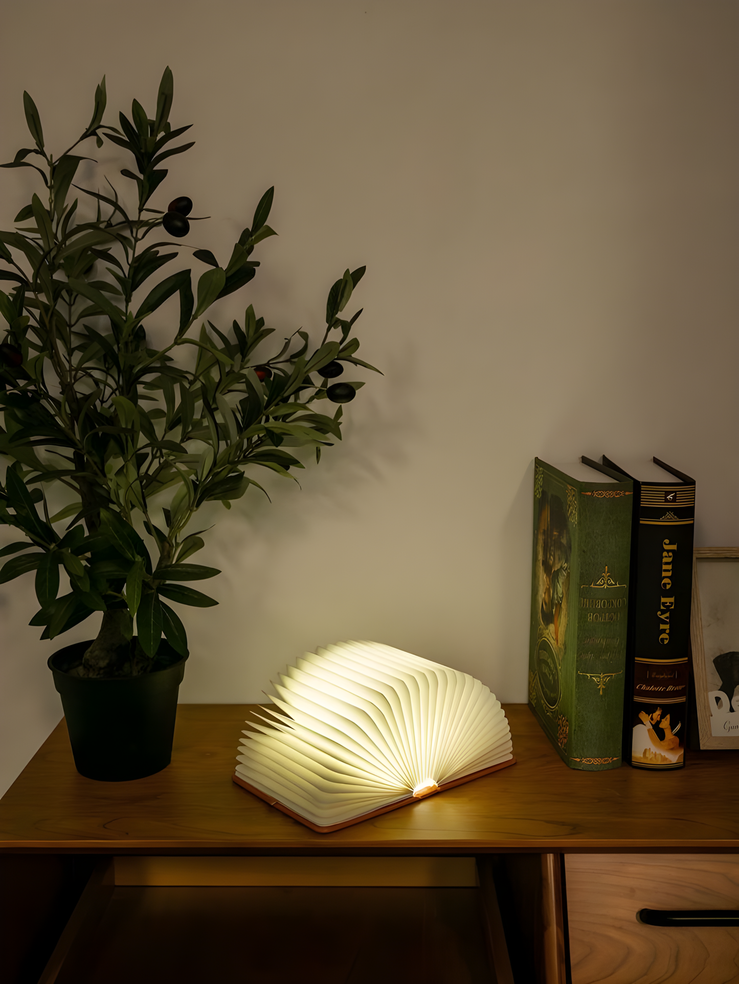 Foldable Wooden Book Lamp