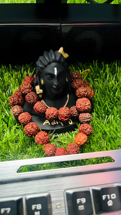 Adiyogi Lord Shiva Idol