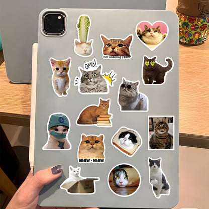 50-Piece Funny Cat Sticker Set 🐱✨