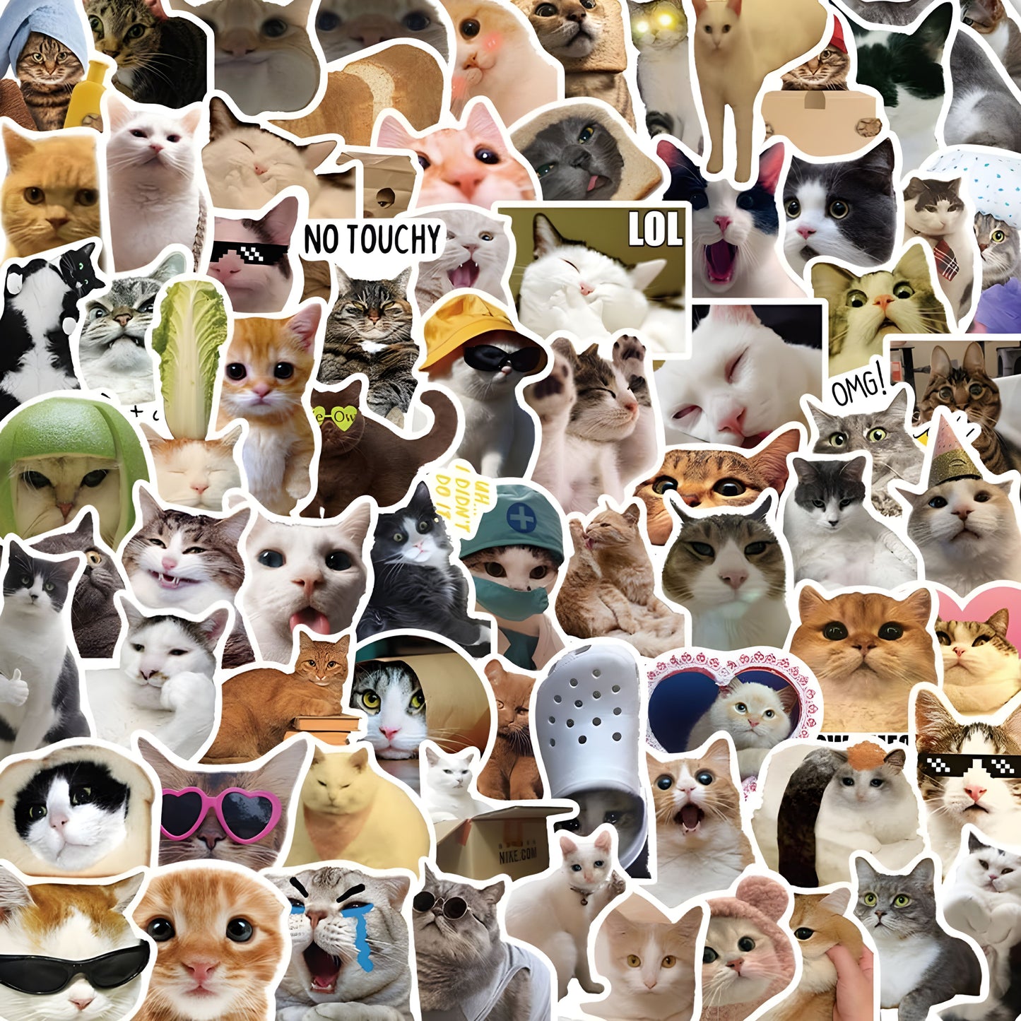 50-Piece Funny Cat Sticker Set 🐱✨