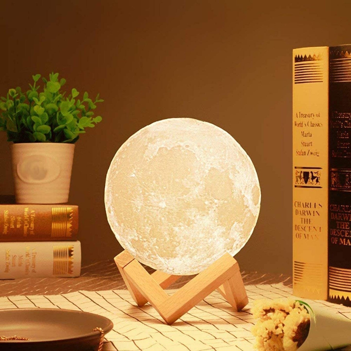 Enchanting Moon Lamp