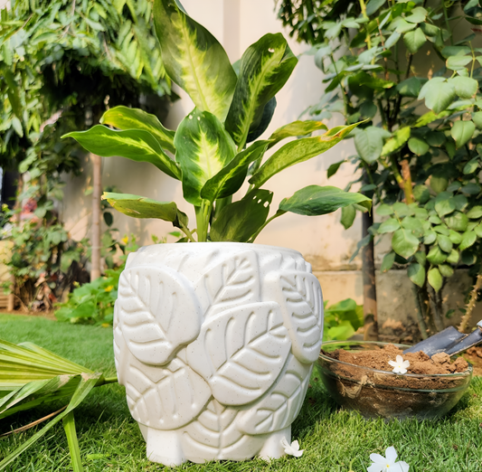 Leaf-Inspired Textured Plastic Planter