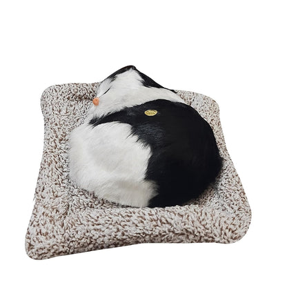 Cute Soft Plush Cat Stuffed Toy - Interactive Sound Simulation