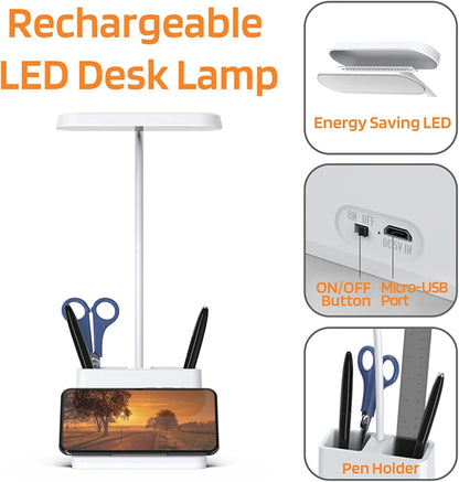 LED Desk Lamp with Mobile & Stationary Holder